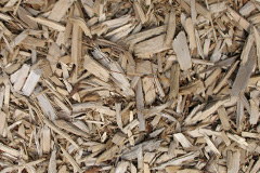 biomass boilers Warkleigh
